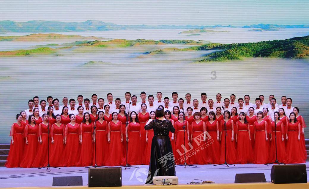 可爱小猫向上跳