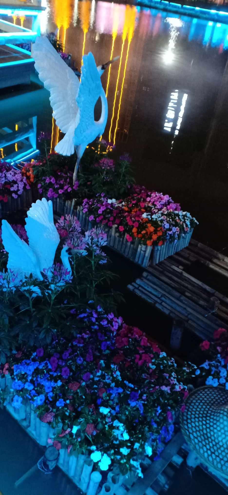 植物大战僵尸8